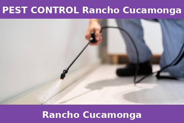 PEST CONTROL Rancho Cucamonga